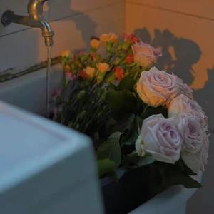 美女裸体啪啪啪十八禁网站
